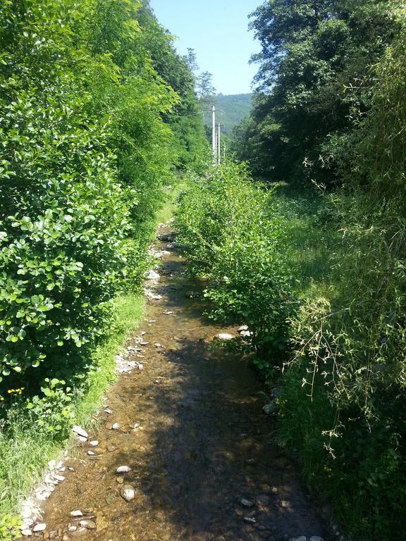 Вілла Casa De Piatra Strungari Номер фото