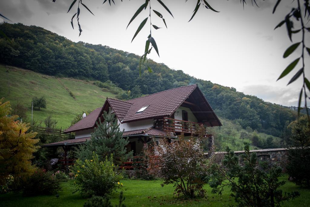 Вілла Casa De Piatra Strungari Екстер'єр фото