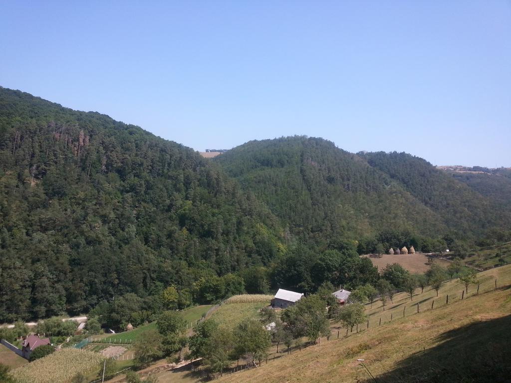 Вілла Casa De Piatra Strungari Екстер'єр фото