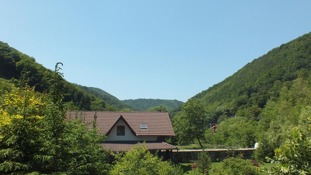 Вілла Casa De Piatra Strungari Екстер'єр фото